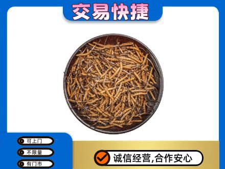 益阳市赫山礼品回收虫草.jpg